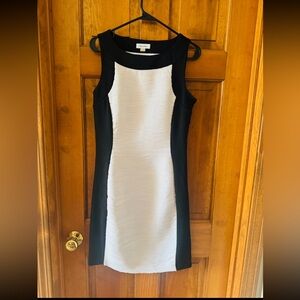 Calvin Klein Black and White Women's Dress